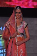 Genelia D Souza at Blenders Pride Fashion Tour 2011 Day 2 on 24th Sept 2011 (189).jpg